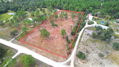 0 SE 53rd Ln, Morriston, FL 32668 - photo 7