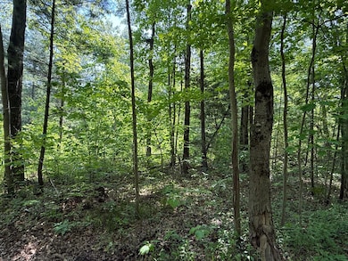 0 Austin Rd unit 25019198, Cedar Creek Township, MI 49457 - photo 4