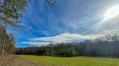 0 Jeanette Holladay Rd, Parsons, TN 38363 - photo 4