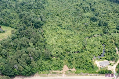 23060 Carson Rd, Pride, LA 70770 - photo 3