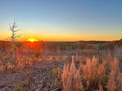 0 Big Rock Rd, Jacksons Gap, AL 36861 - photo 4