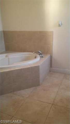 Master bathroom tub