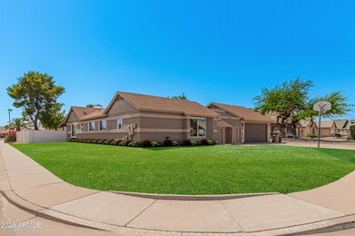 Front Yard Possibilities