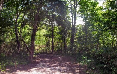 899 Pine Haven Rd, Clarkson, KY 42726 - photo 4