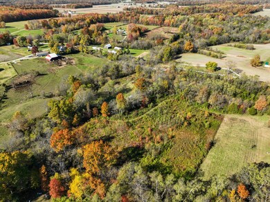 7530 Indiana 250, Bennington, IN 47011 - photo 6