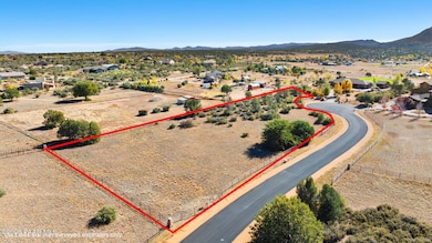 1-Aerial (1) Lot Lines