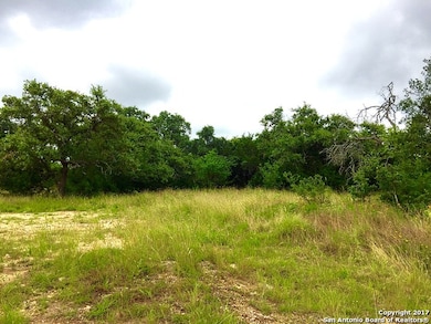 3906 Luz Del Faro, San Antonio, TX 78261 - photo 2