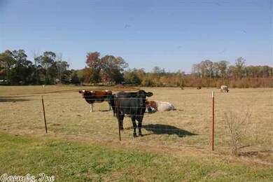 127 N Grant St, Sheridan, AR 72150 - photo 7