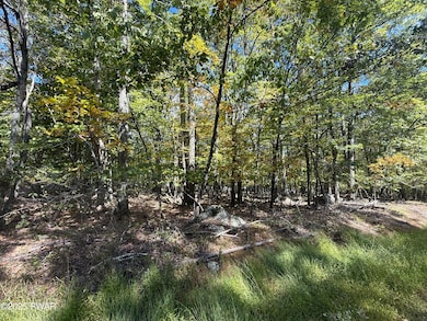 0 Paper Birch Rd N, Tafton, PA 18464 - photo 4