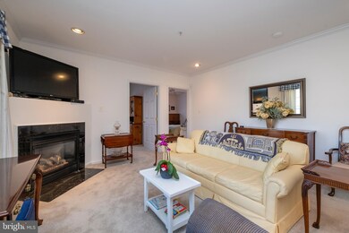 5004 Hollington Dr unit 102, Owings Mills, MD 21117 - photo 5