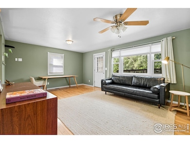 342 4th Ave, Lyons, CO 80540 - photo 4