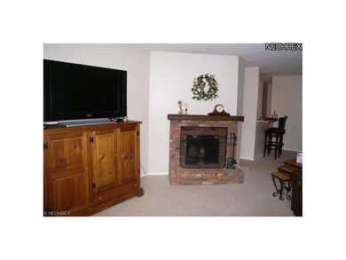 Wood burning fireplace in living room.
