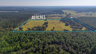 2-web-or-mls-Wallace Rd Aerial-2