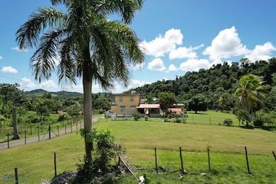 Interior Carr #969, Naguabo, PR 00718 - photo 5