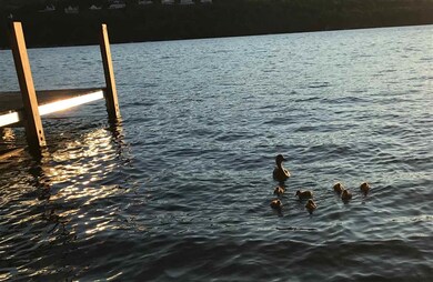 00 Pinnacle Park Rd, Meredith, NH 03253 - photo 2