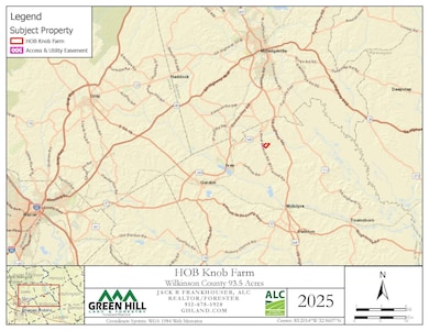 0 Laurel Branch Church Rd, Ivey, GA 31031 - photo 6