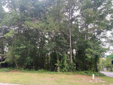 1240 Clipper Rd, North Myrtle Beach, SC 29582 - photo 3