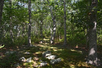 5-106 Lighthouse Rd, Aquinnah, MA 02535 - photo 2
