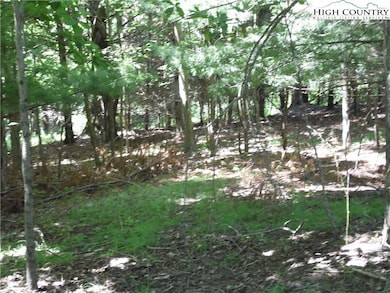 TBD Hickory View Dr unit 34, Sparta, NC 28675 - photo 2