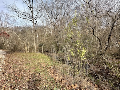 210 Trotter Rd, Waverly, TN 37185 - photo 6