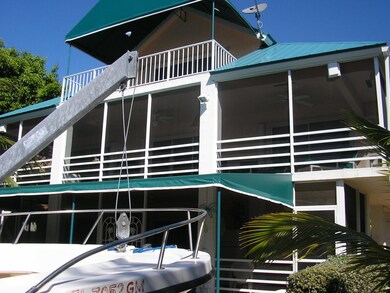 Back View