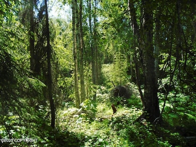 A tree cover