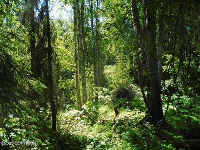 A tree cover