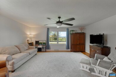 3580 Welsh Run Rd, Ruckersville, VA 22968 - photo 7