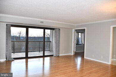 307 Yoakum Pkwy unit 606, Alexandria, VA 22304 - photo 7