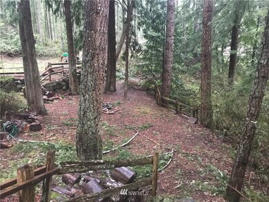 22237 Bluewater Dr SE, Yelm, WA 98597 - photo 3