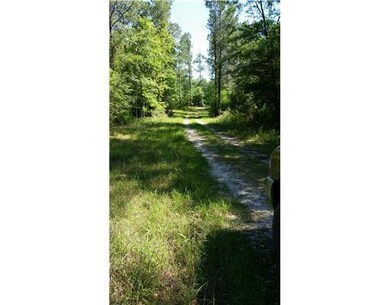0 Lott McCarty Rd, Picayune, MS 39466 - photo 4