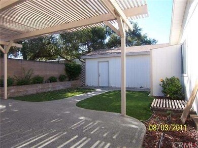 Back Patio/yard