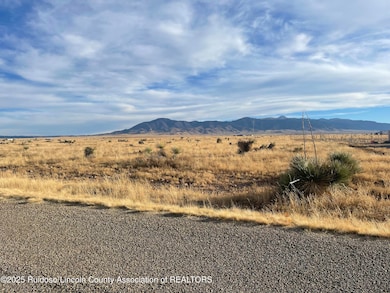 136 Gopher Gulch Loop, Carrizozo, NM 88301 - photo 6