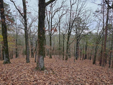 00 Colonel Glenn Rd, Little Rock, AR 72210 - photo 3