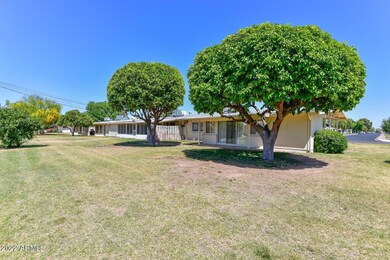 Backyard-Common Area