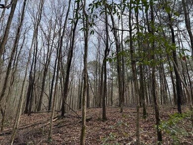 918a Auburn Dr SW, Bogue Chitto, MS 39629 - photo 4