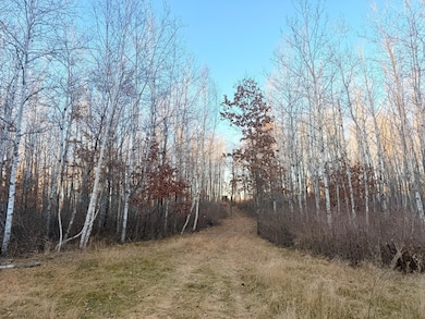 1287 Trinity Pines Ln NW, Backus, MN 56435 - photo 2