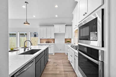 3806 Lake Falls Dr, Fulshear, TX 77441 - photo 4