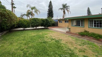 Entertainers backyard