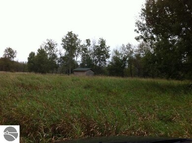 N/A Noggle Rd, Omer, MI 48749 - photo 5