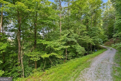 0 Flat Ridge Rd unit 10490565, Ellijay, GA 30540 - photo 3
