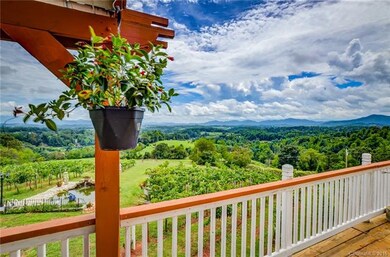 36 Hallaran Dr, Marshall, NC 28753 - photo 4