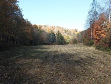DJI_0178
