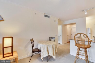 The Clara Barton at Penn Quarter unit 911, Washington, DC 20004 - photo 5