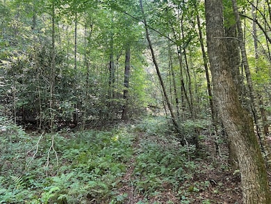 0 R J Mountain View Dr unit 154256, Murphy, NC 28906 - photo 5