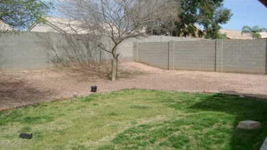Back yard