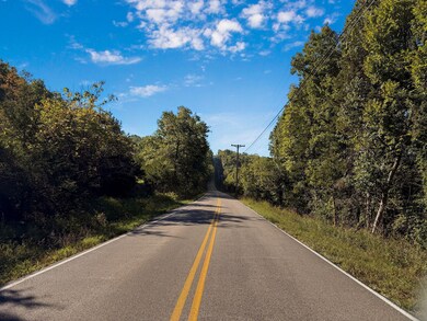 Tract 3 Everest Rd, Ruth A Township, MO 65656 - photo 4