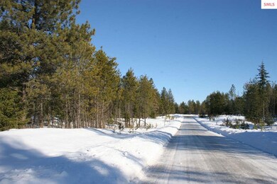 B1 NNK Northern Sky Rd, Athol, ID 83801 - photo 2