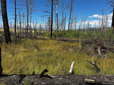 1175-1176 Macomber Ln unit 1175-1176, Fort Garland, CO 81133 - photo 7