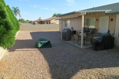 Backyard 1